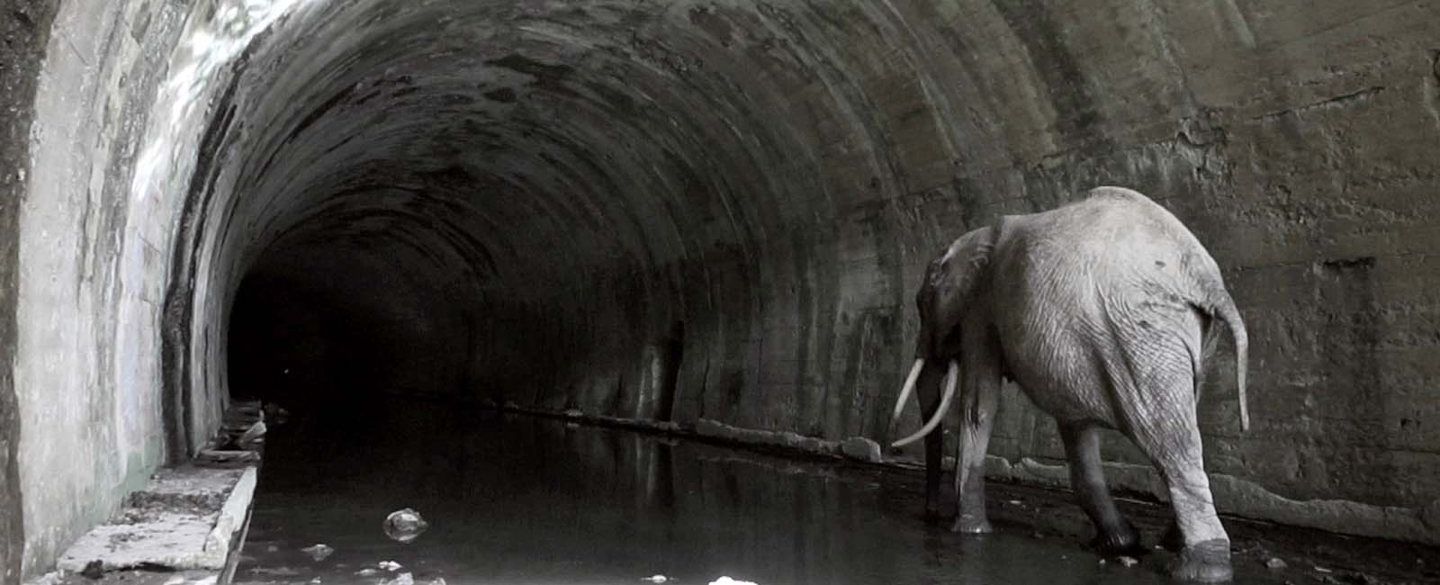 FBBVA-not-cult-MULTIVERSO-Fotograma-Expediente-Túnel-de-la-Engaña